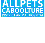 Allpets Caboolture District Animal Hospital - Sydney Vets