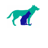 Karalee Village Veterinary Clinic - Sydney Vets