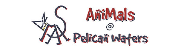 Southern Sunshine Coast QLD Sydney Vets