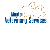 MontoVet Surgery - Sydney Vets 0