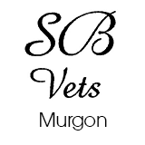 SBVets Murgon - Sydney Vets 0