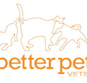 Better Pet Vets Northern Beaches - Sydney Vets