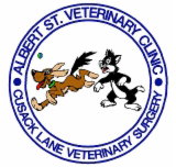Albert Street Veterinary Clinic - Sydney Vets
