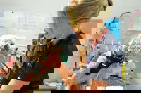 Walker Street Veterinary Surgery