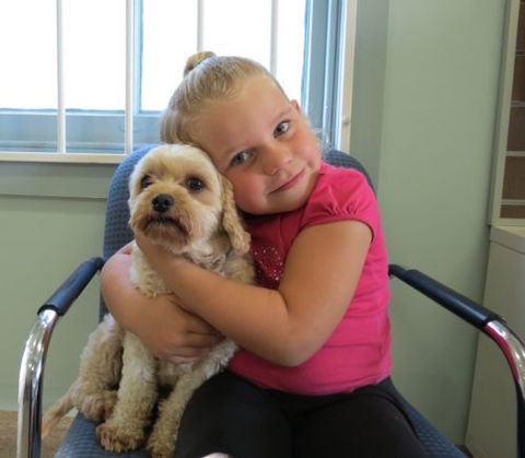 Dapto Veterinary Clinic - Sydney Vets 4