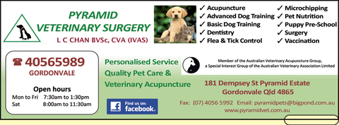 Pyramid Veterinary Surgery - Sydney Vets 2