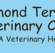 Raymond Terrace Veterinary Clinic - Sydney Vets