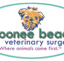 Robert Mills - Sydney Vets
