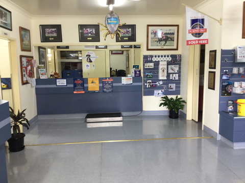 SBVets - Sydney Vets 3