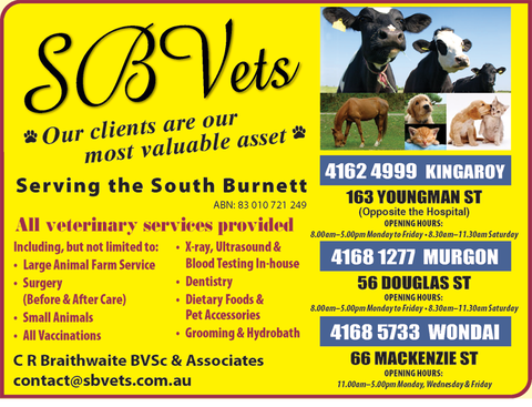 SBVets - Sydney Vets 4