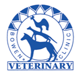 Seth McIntosh Bowen Vet - Sydney Vets