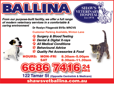 Shaws Veterinary Hospital - Sydney Vets 6