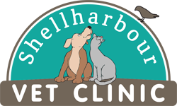 Shellharbour Veterinary Clinic - Sydney Vets 0