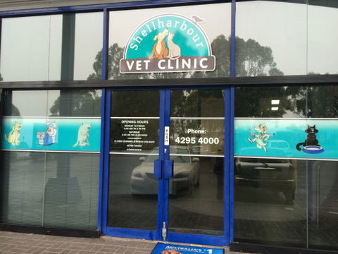Shellharbour Veterinary Clinic - Sydney Vets 1