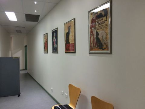 Shellharbour Veterinary Clinic - Sydney Vets 2