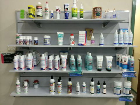 Shellharbour Veterinary Clinic - Sydney Vets 3