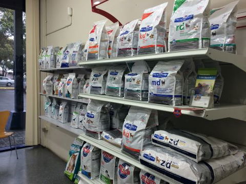 Shellharbour Veterinary Clinic - Sydney Vets 4