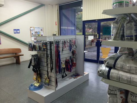 Shellharbour Veterinary Clinic - Sydney Vets 5