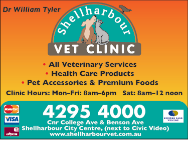 Shellharbour Veterinary Clinic - Sydney Vets 6