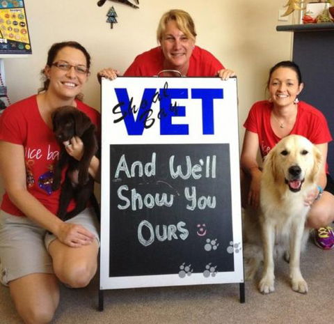Shoal Bay Veterinary Clinic - Sydney Vets 4