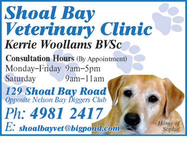 Shoal Bay Veterinary Clinic - Sydney Vets 6