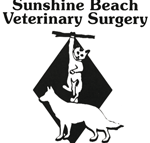 Sunshine Beach Veterinary Surgery - Sydney Vets