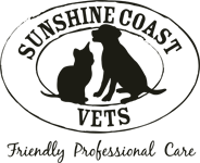 Sunshine Coast Vets - Sydney Vets 0