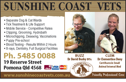 Sunshine Coast Vets - Sydney Vets 1