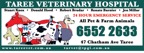 Taree Veterinary Hospital - Sydney Vets 1