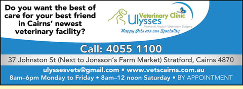 Ulysses Veterinary Clinic Cairns - Sydney Vets 4