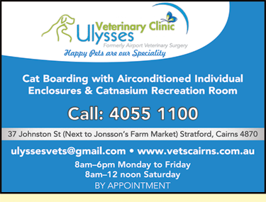 Ulysses Veterinary Clinic Cairns - Sydney Vets 5
