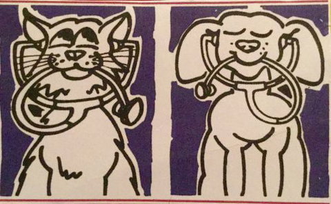 Veterinary Clinic Noosa Heads Pty Ltd - Sydney Vets 1