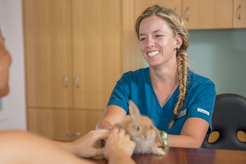 Vitality Vetcare - Sydney Vets 2