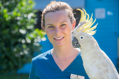 Vitality Vetcare - Sydney Vets 3