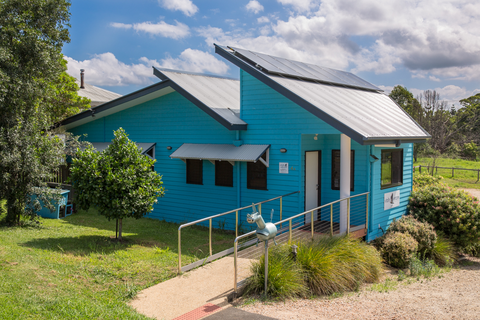 Vitality Vetcare - Sydney Vets 4