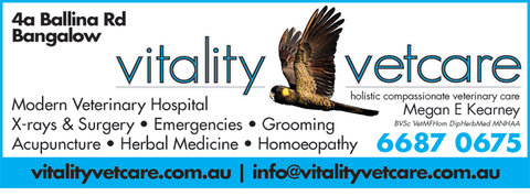 Vitality Vetcare - Sydney Vets 6
