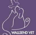 Wallsend Vet Newcastle - Sydney Vets