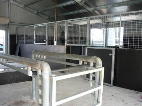 Wingham & Valley Vets - Sydney Vets 2