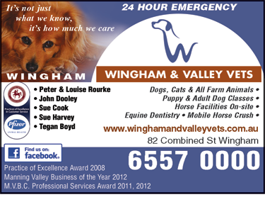 Wingham & Valley Vets - Sydney Vets 6