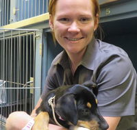 Grafton Veterinary Clinic - Sydney Vets