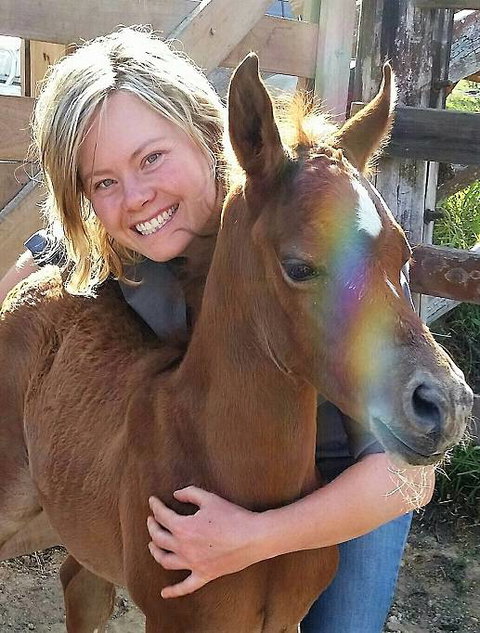 Grafton Veterinary Clinic - Sydney Vets 2