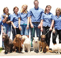McClure Vicky Dr - Sydney Vets