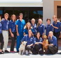 Berkhout Stacey Dr - Sydney Vets