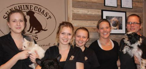 Deny Clementine Dr - Sydney Vets 0