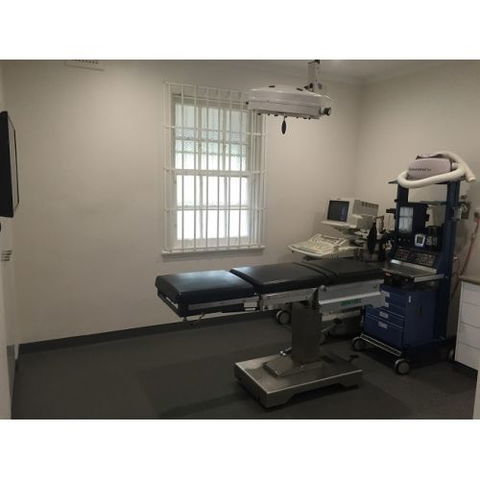 Deny Clementine Dr - Sydney Vets 3