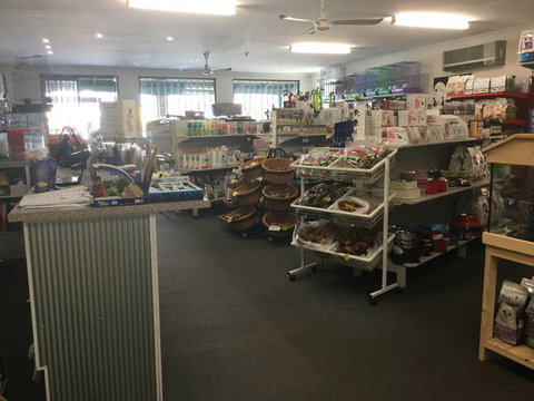 Coffs Coast Pets - Sydney Vets 2