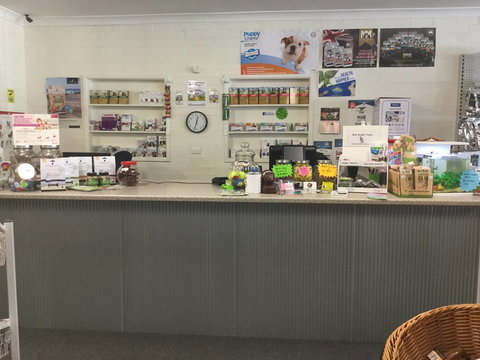 Coffs Coast Pets - Sydney Vets 3