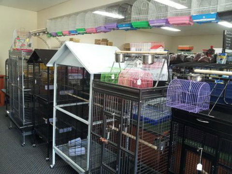 Absolutely Fish And Pets - Sydney Vets 1