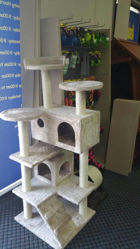 Absolutely Fish And Pets - Sydney Vets 2