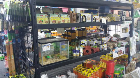 Absolutely Fish And Pets - Sydney Vets 3